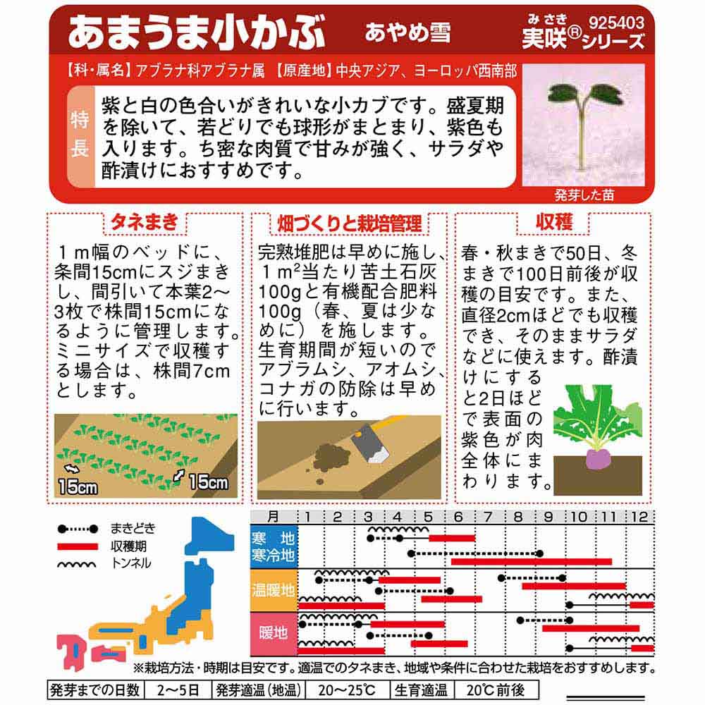 カブ_あやめ雪　春秋兼用
