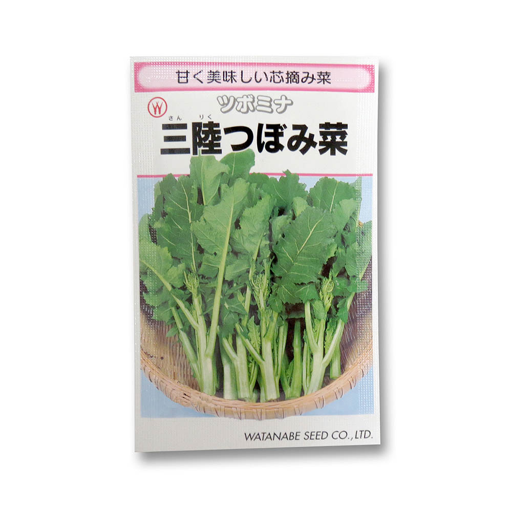三陸つぼみ菜
