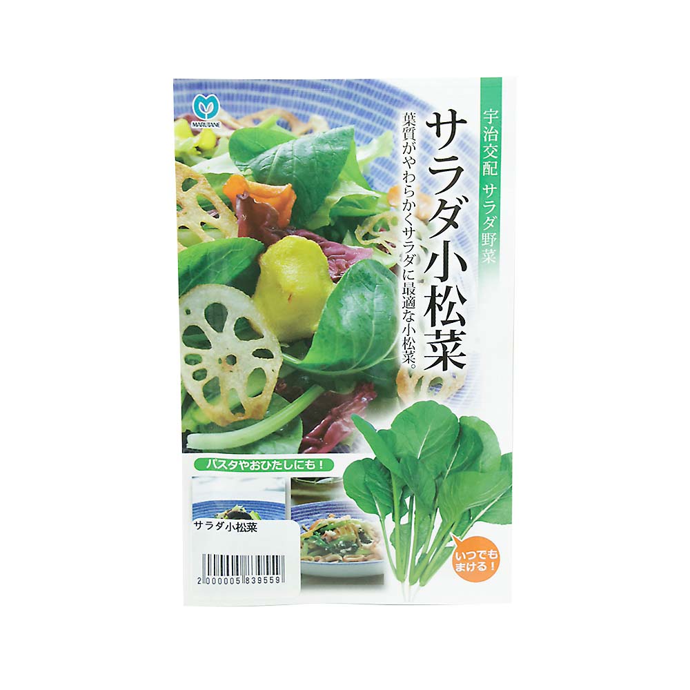 サラダ小松菜