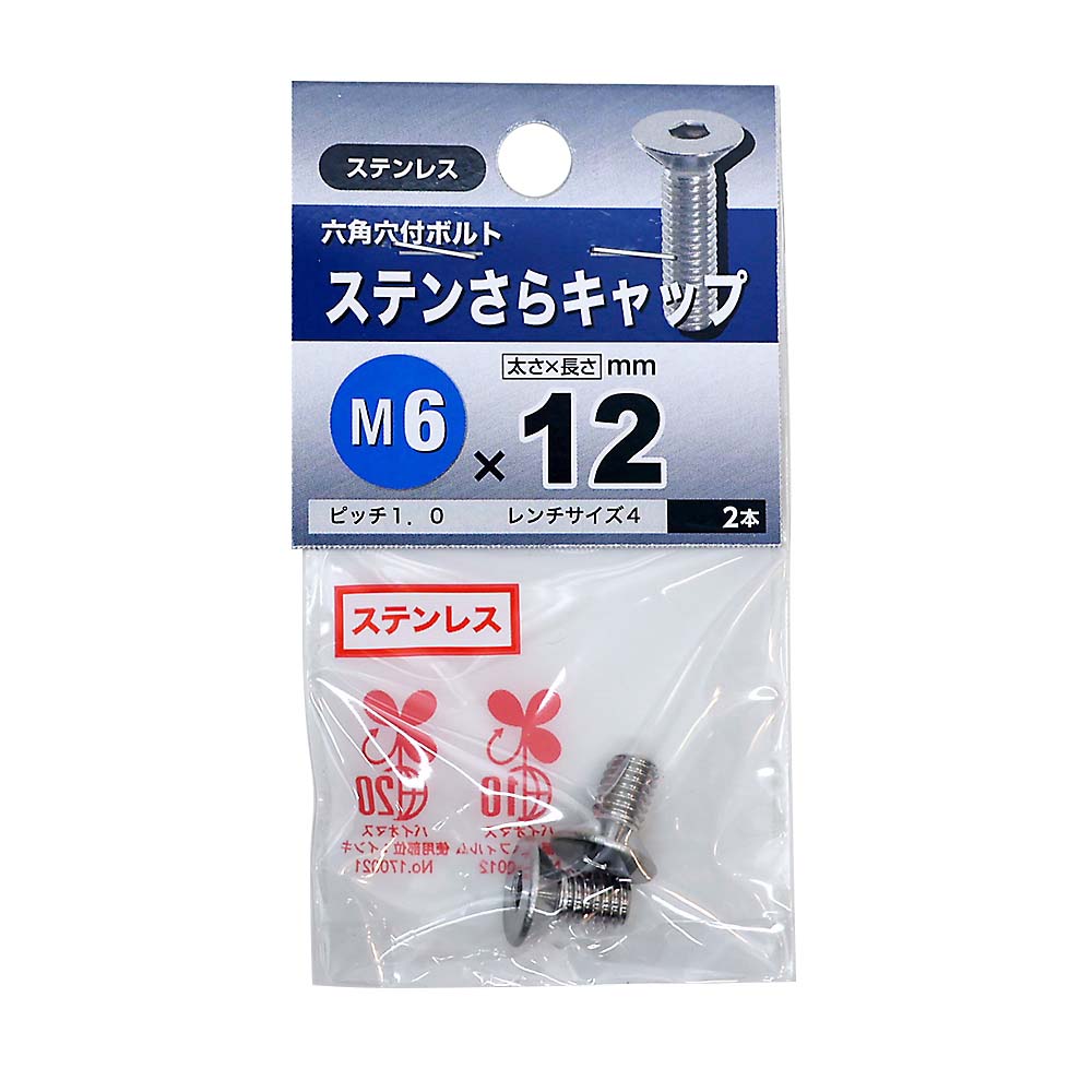 ステンレス皿キャップ　6×12mm