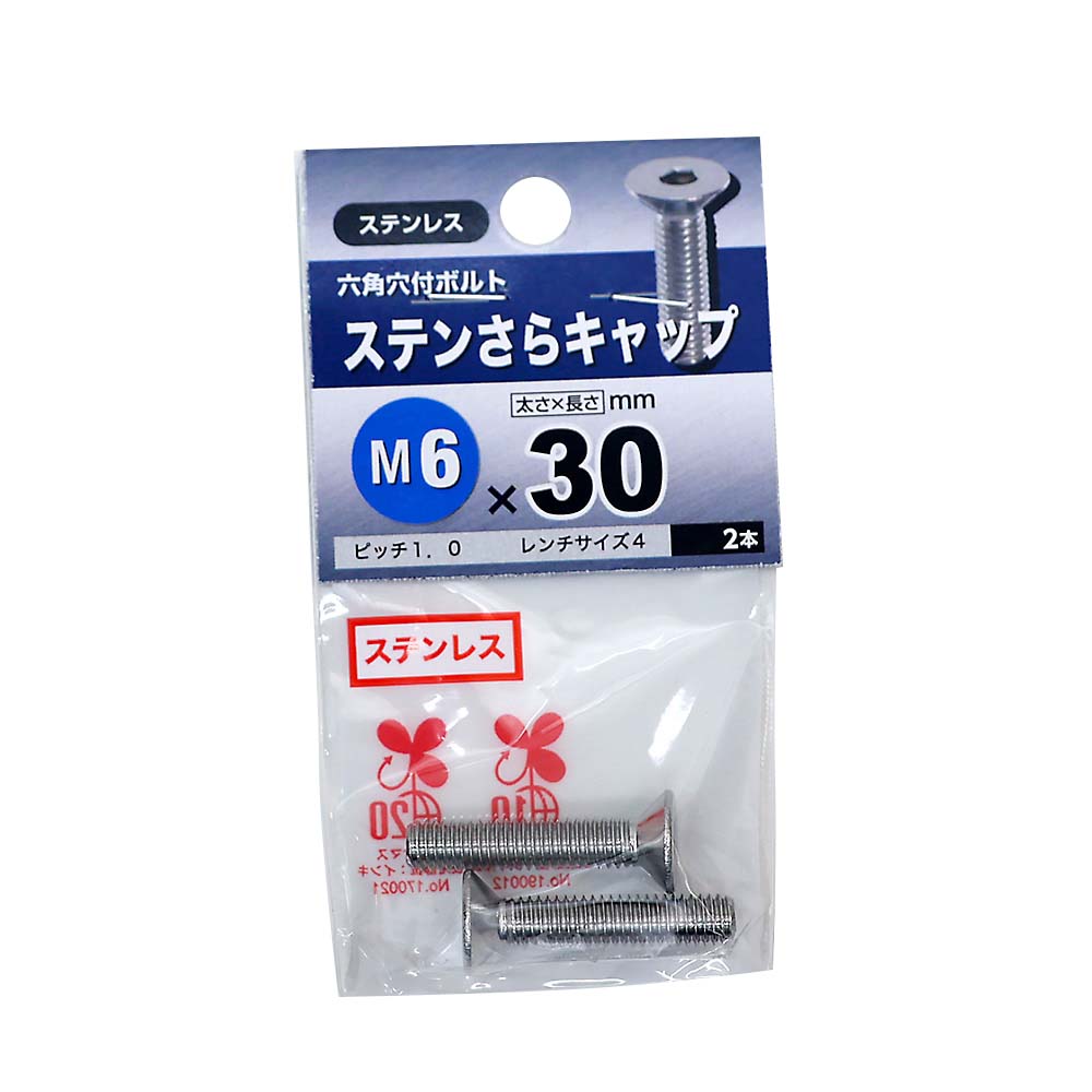 ステンレス皿キャップ　6×30mm