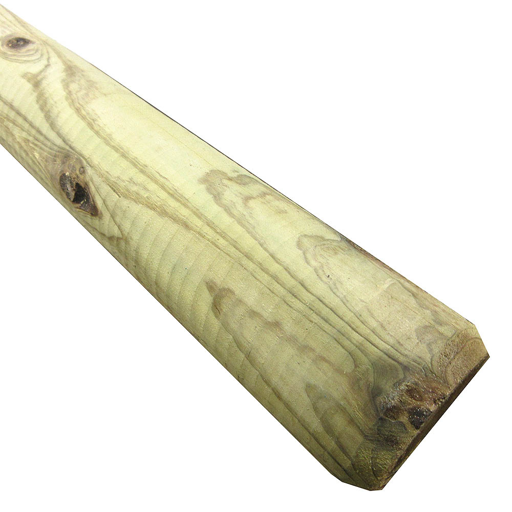 タナリス杭　2100x65mm