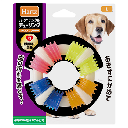 HARTZ デンタルチューリング　L