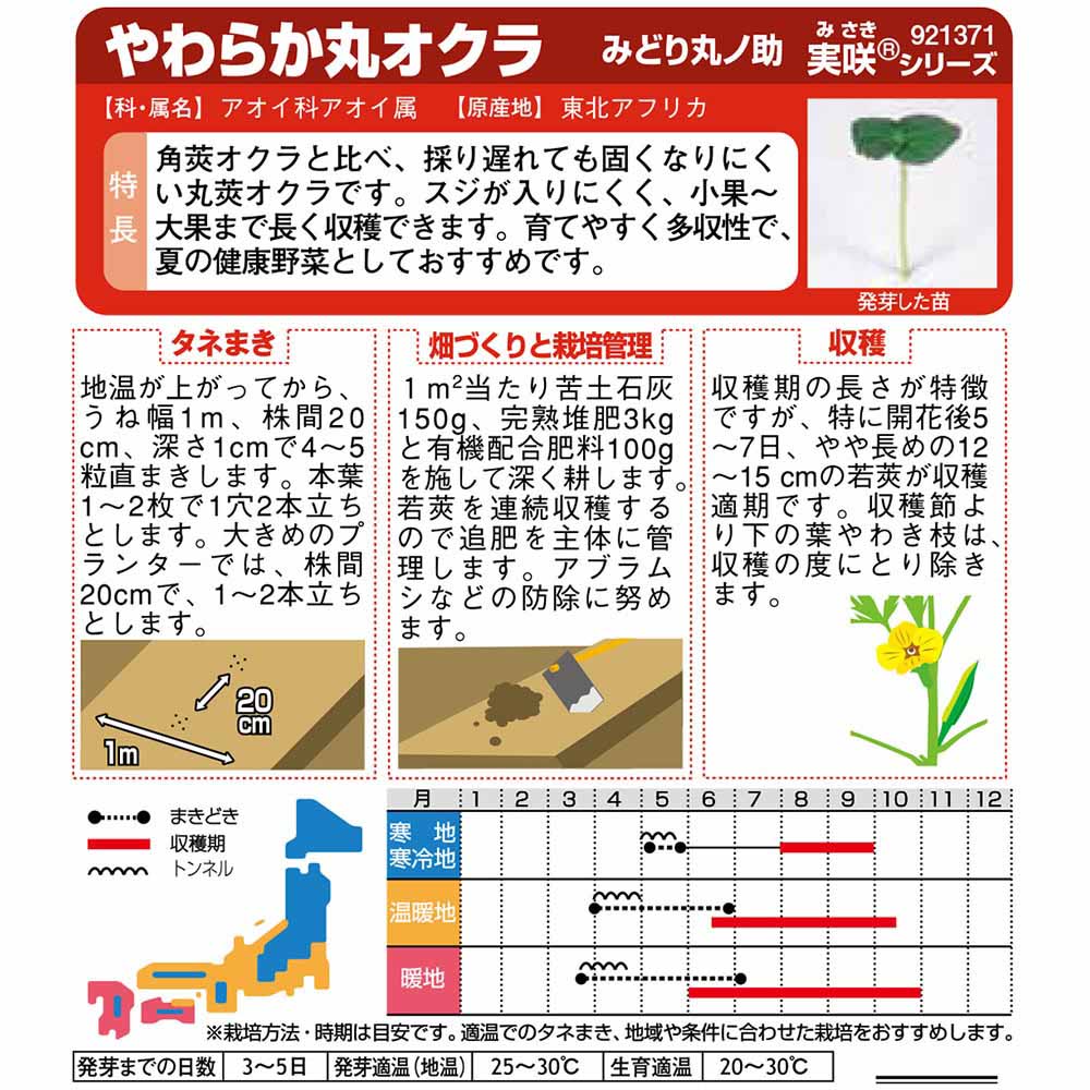 オクラ_やわらか丸オクラ　春まき