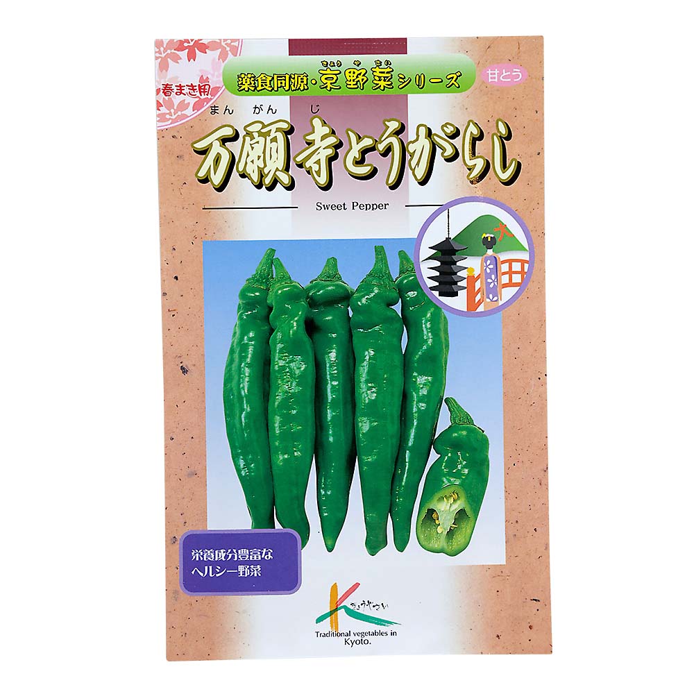 万願寺とうがらし　春まき