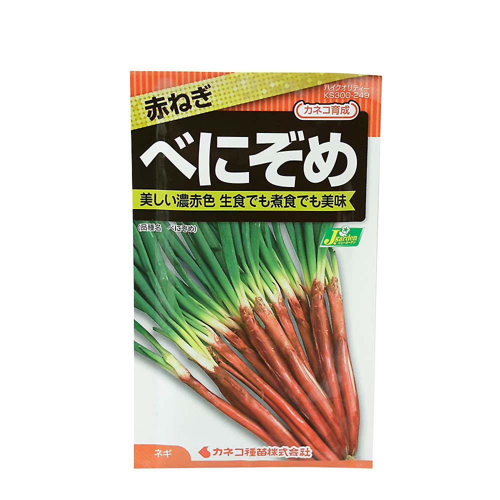 ネギ 赤ねぎ べにぞめ　春まき
