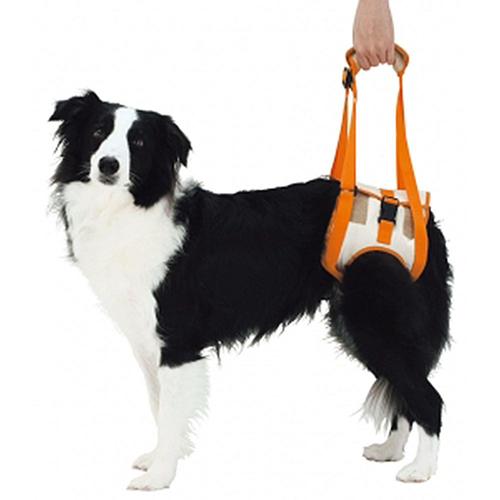 ペティオ 老犬介護用 3l 前足用 大型犬用 歩行補助ハーネス 犬用ハーネス 犬用品 胴輪 名入れ無料 歩行補助ハーネス
