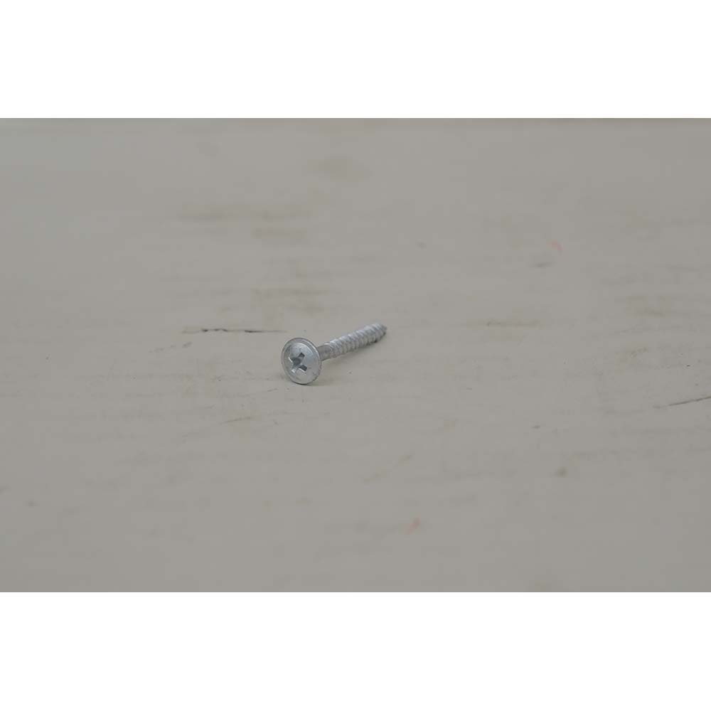 ラスパートニュー雨樋ビス　3.6×30mm