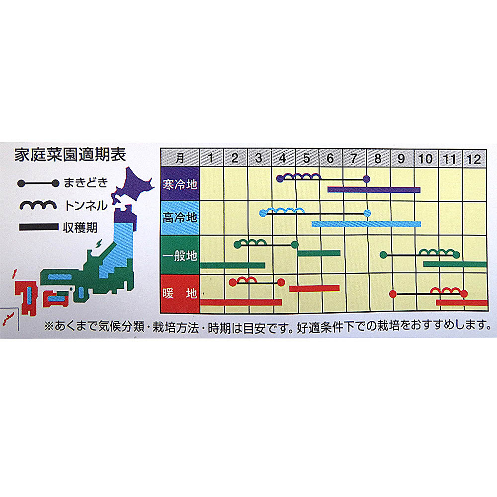 ホワイトスティック
