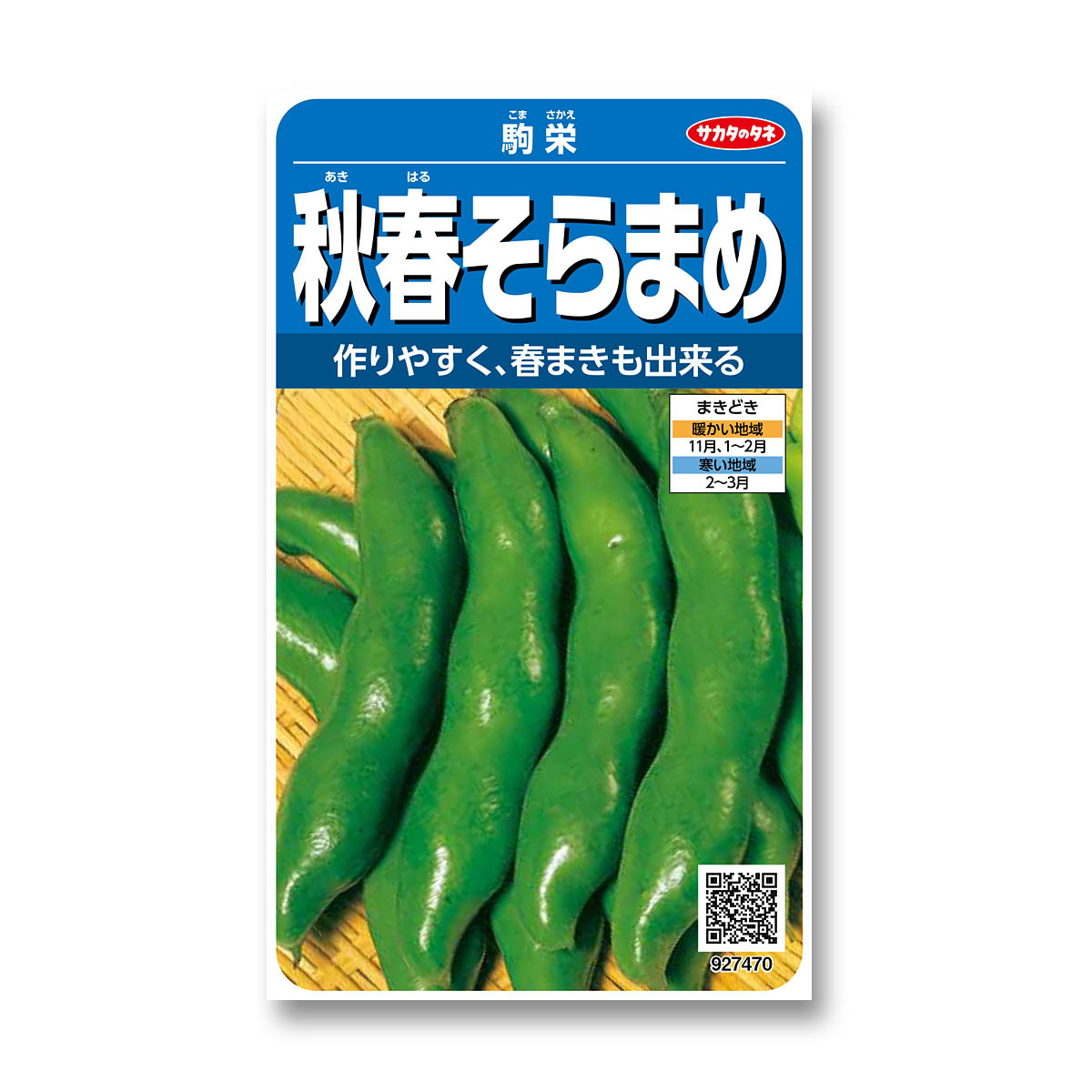 ソラマメ_駒栄　春秋兼用