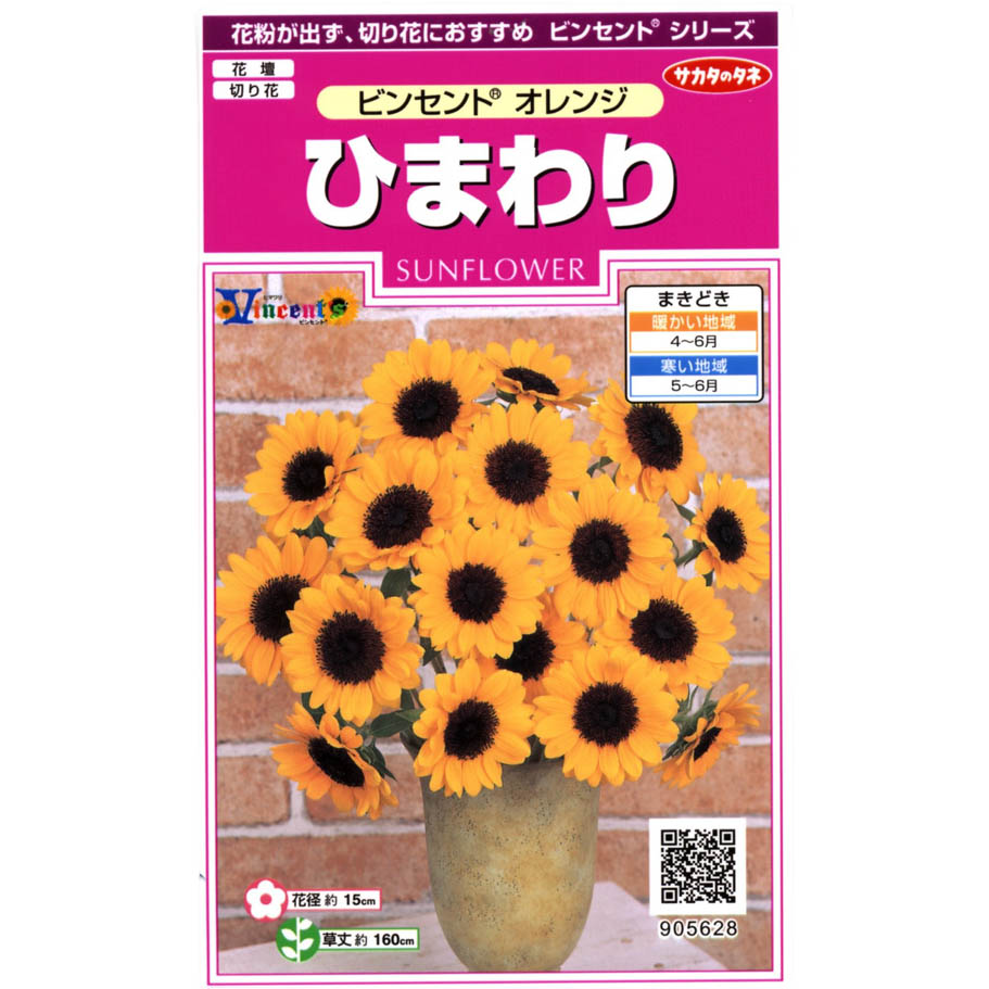 ひまわり_ビンセント オレンジ　春秋兼用