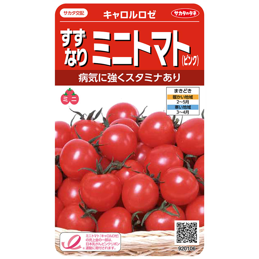 トマト_ミニトマト_キャロル ロゼ　春まき