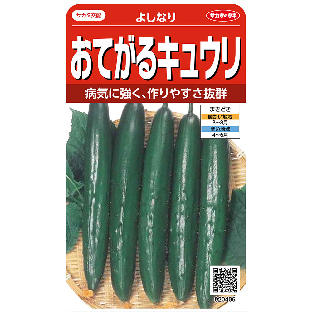 キュウリ_よしなり　春まき