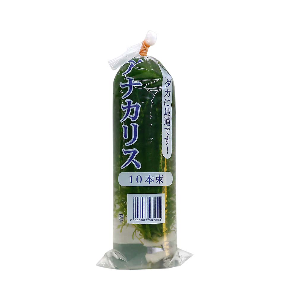 アナカリス10本 | ジョイフル本田 取り寄せ＆店舗受取