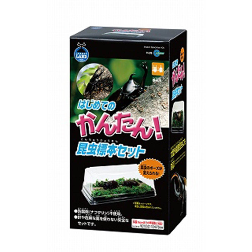 昆虫 用品 はじめての かんたん 昆虫標本セット ｈ ０９ ジョイフル本田 店舗受取サービス