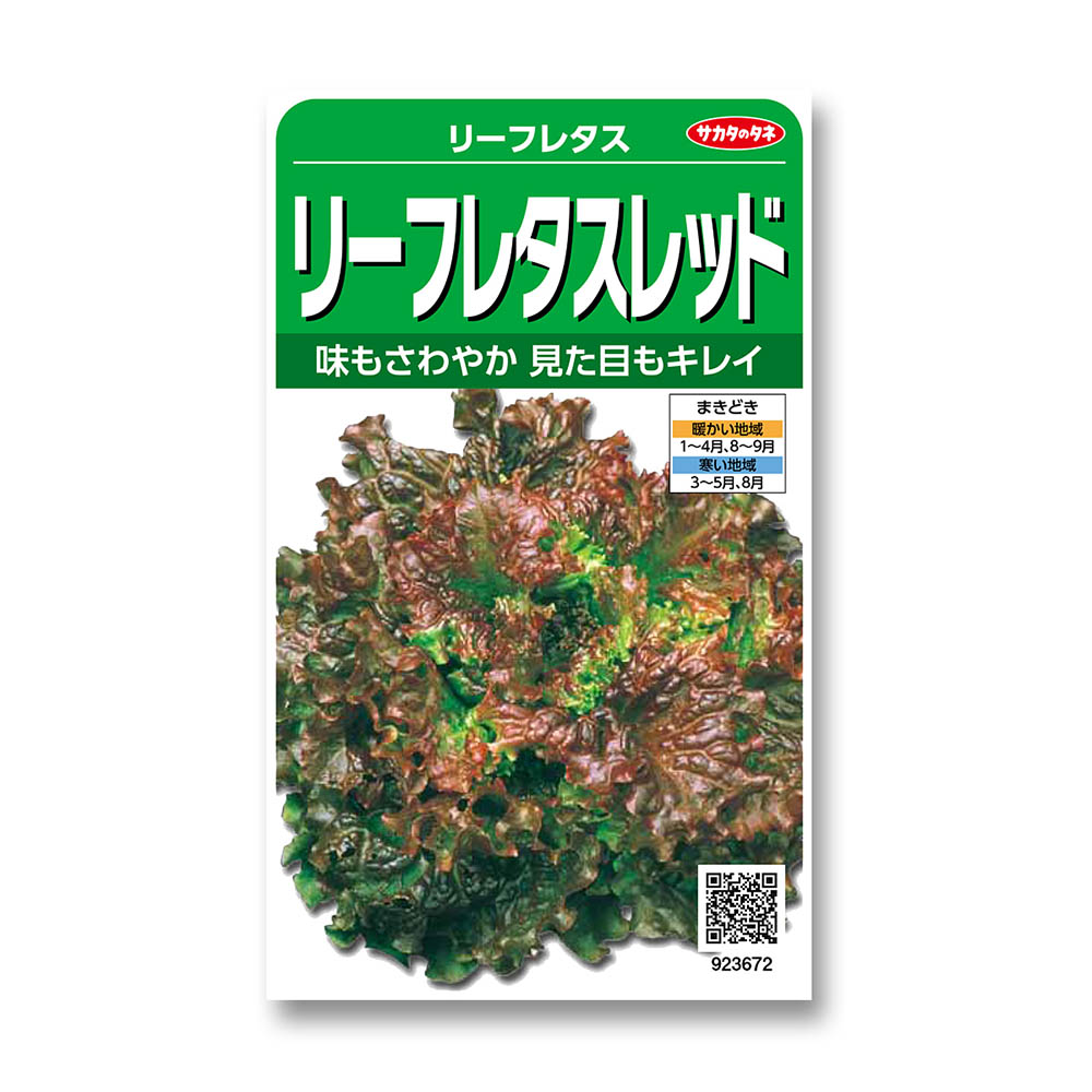 リーフレタス_レッド　春秋兼用