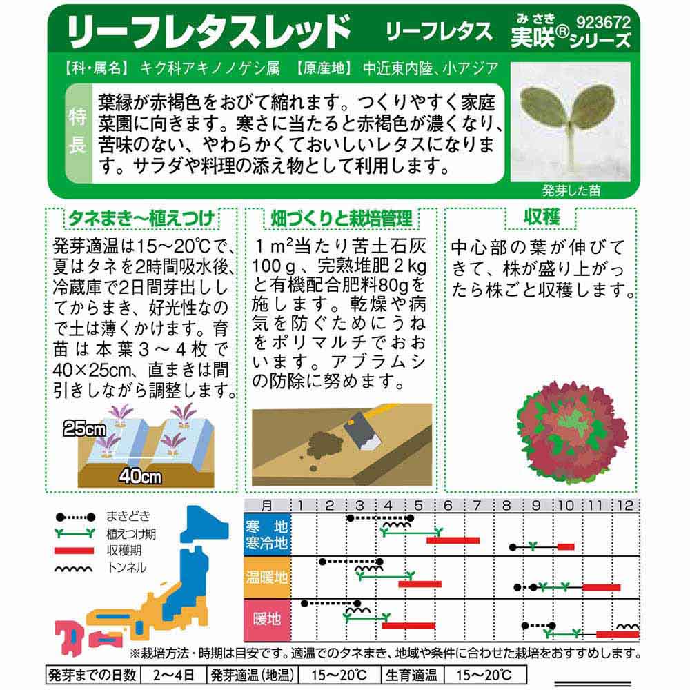 リーフレタス_レッド　春秋兼用