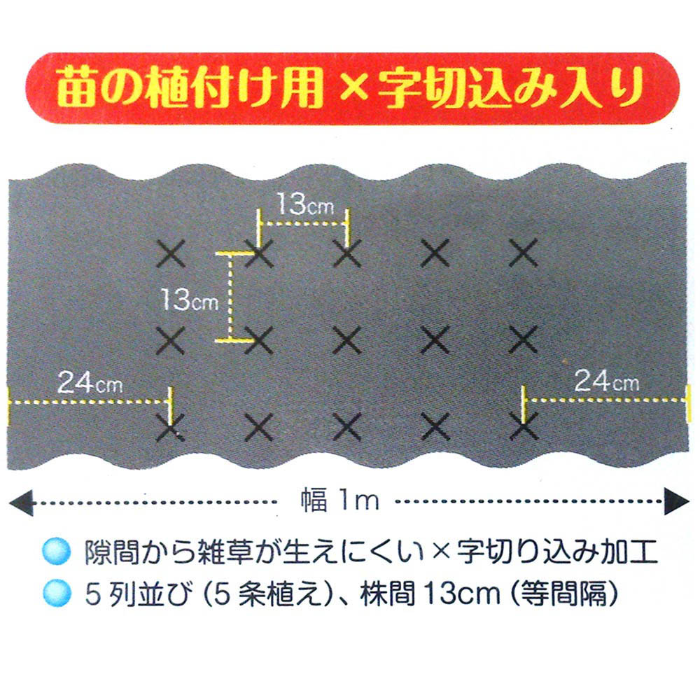 タキイ透水マルチ たまねぎ名人　1x10m