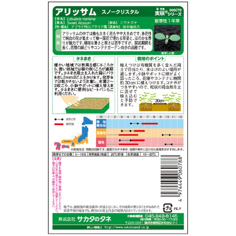 アリッサム_スノークリスタル　春秋兼用