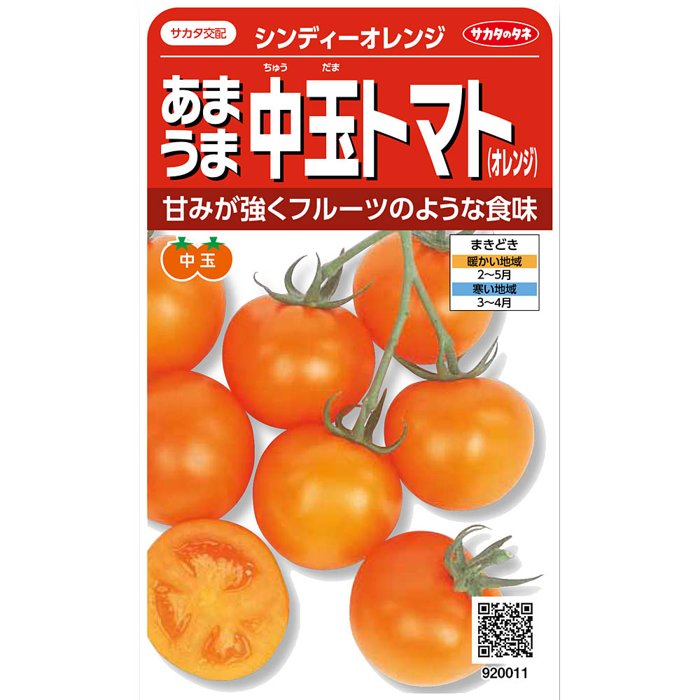 トマト_中玉トマト_シンディーオレンジ　春まき