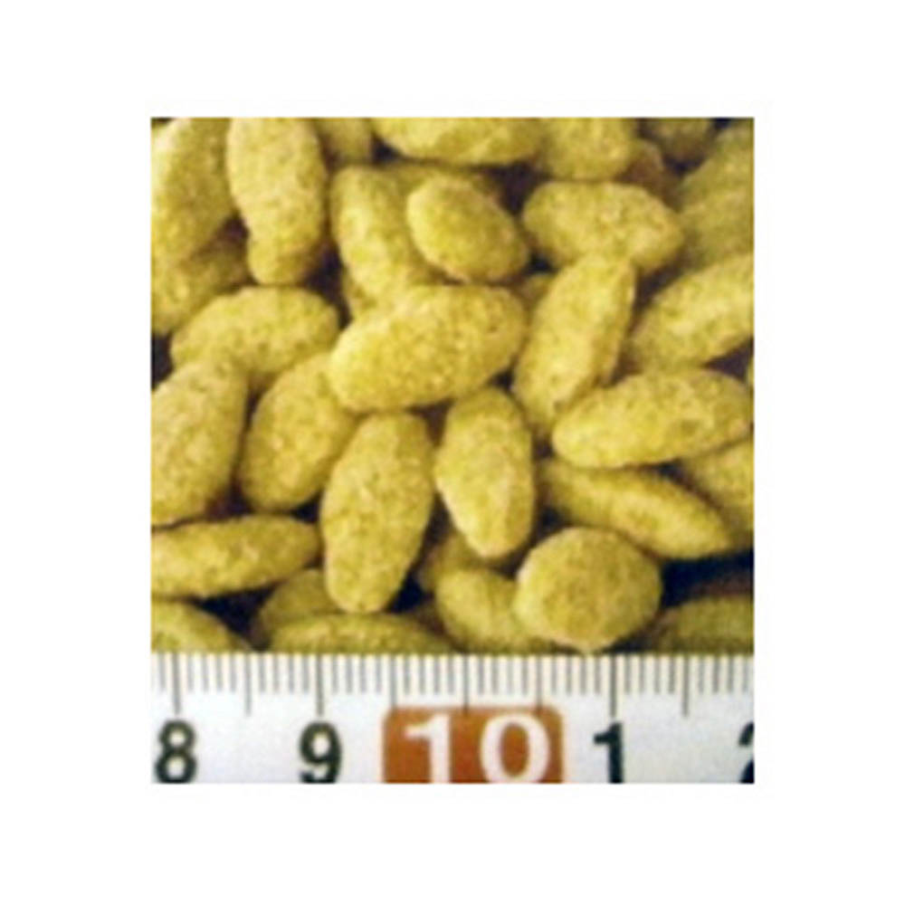 ZuPreem パロット&コニュア ナチュラル　1.4kg