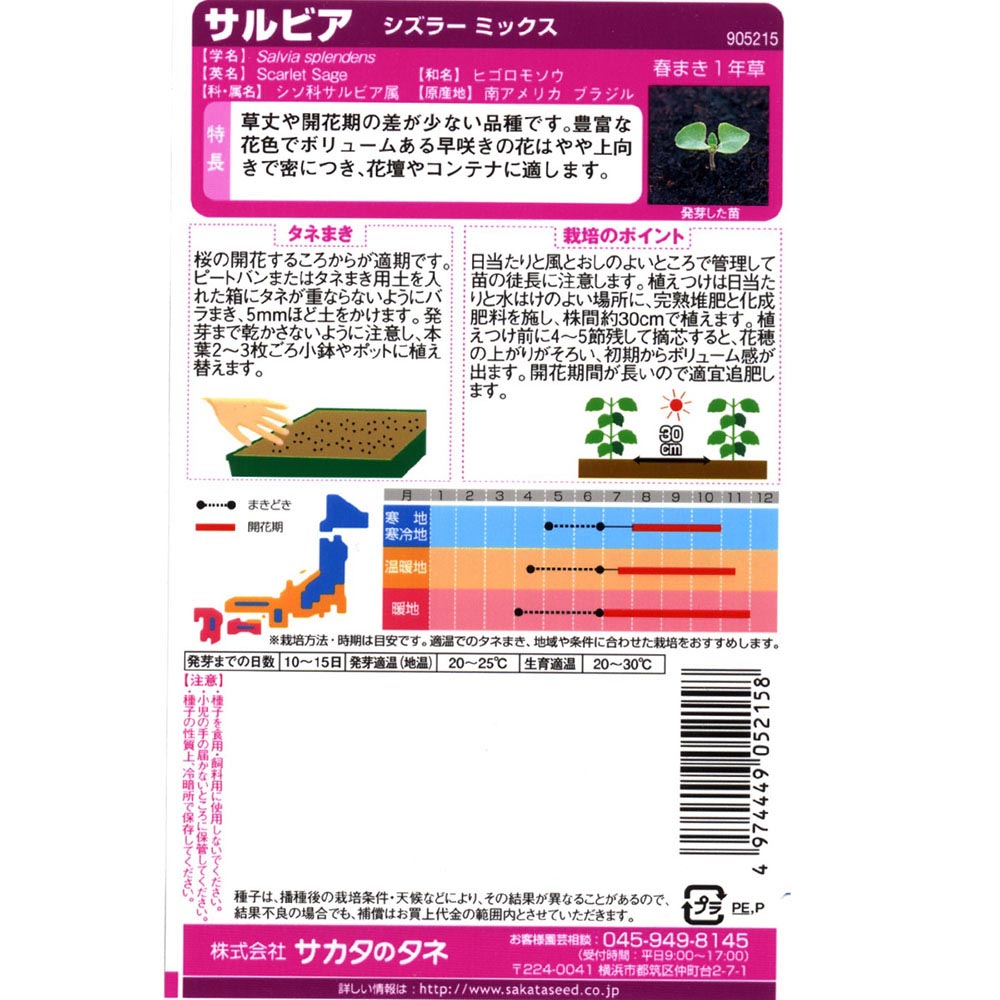サルビア_シズラーミックス　春秋兼用
