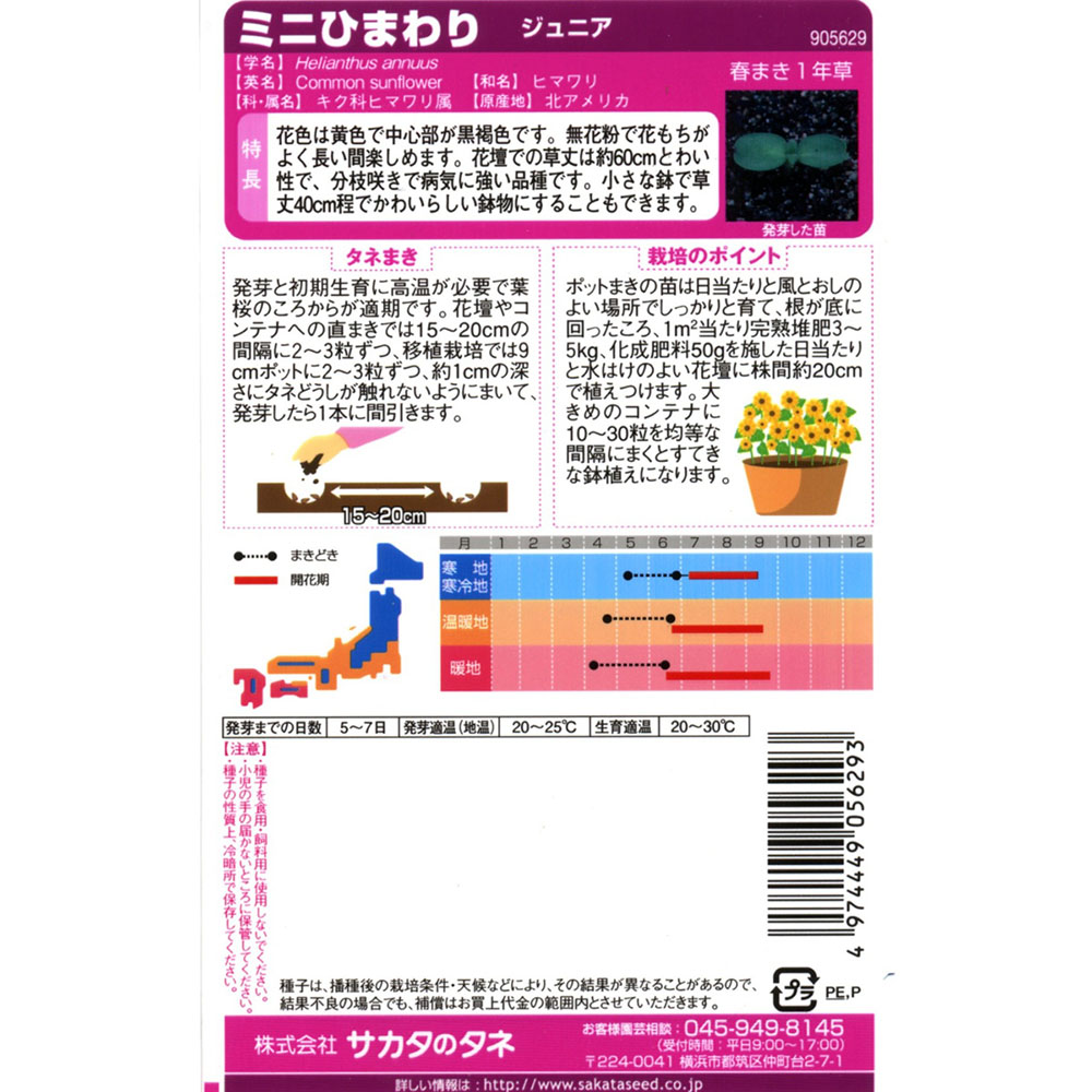 ひまわり_ミニひまわり_ジュニア　春秋兼用