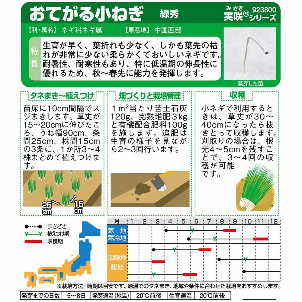 ネギ_小ネギ_緑秀　春秋兼用