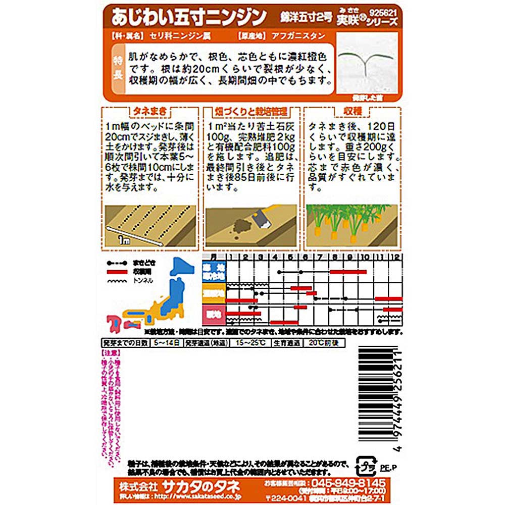 ニンジン_(錦洋五寸2号)錦洋五寸2号　春秋兼用