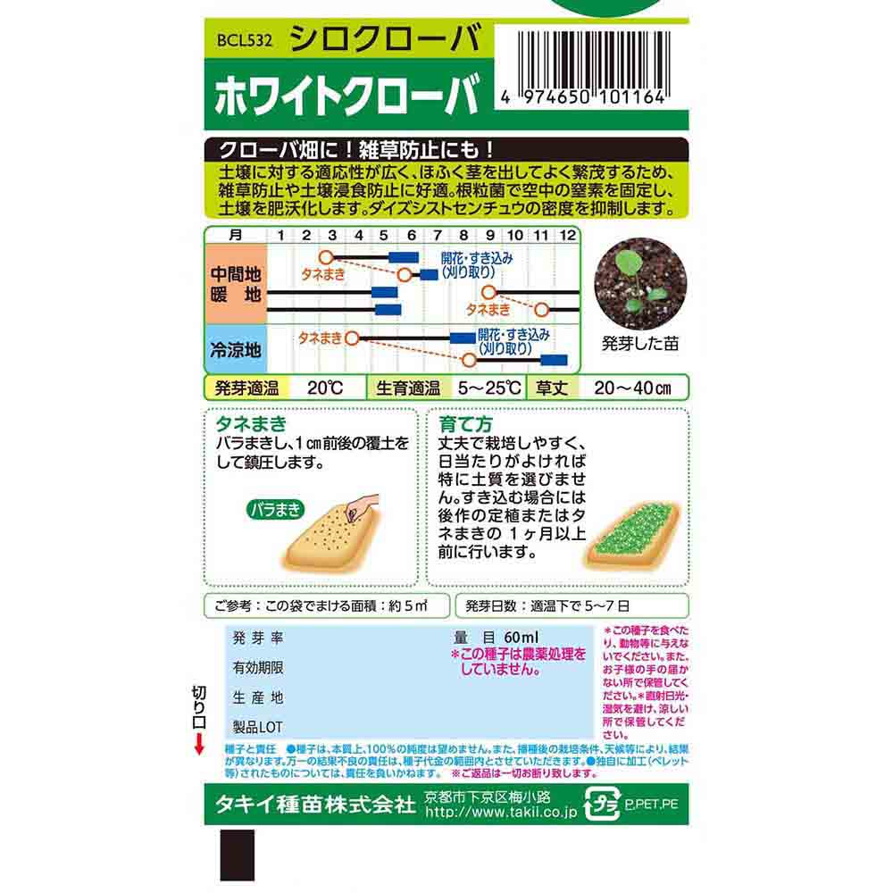 ホワイトクローバ　春秋兼用