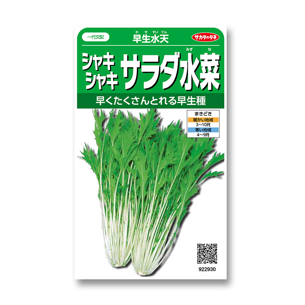 ミズナ_サラダ水菜_早生水天　春秋兼用
