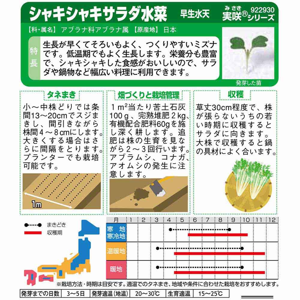 ミズナ_サラダ水菜_早生水天　春秋兼用