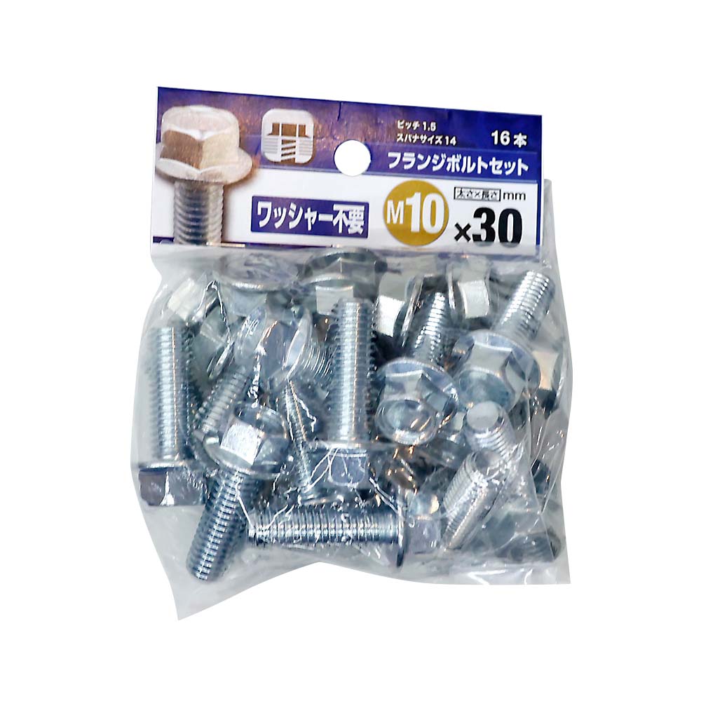 フランジＢＴ　３ＭＣセット　１０Ｘ３０