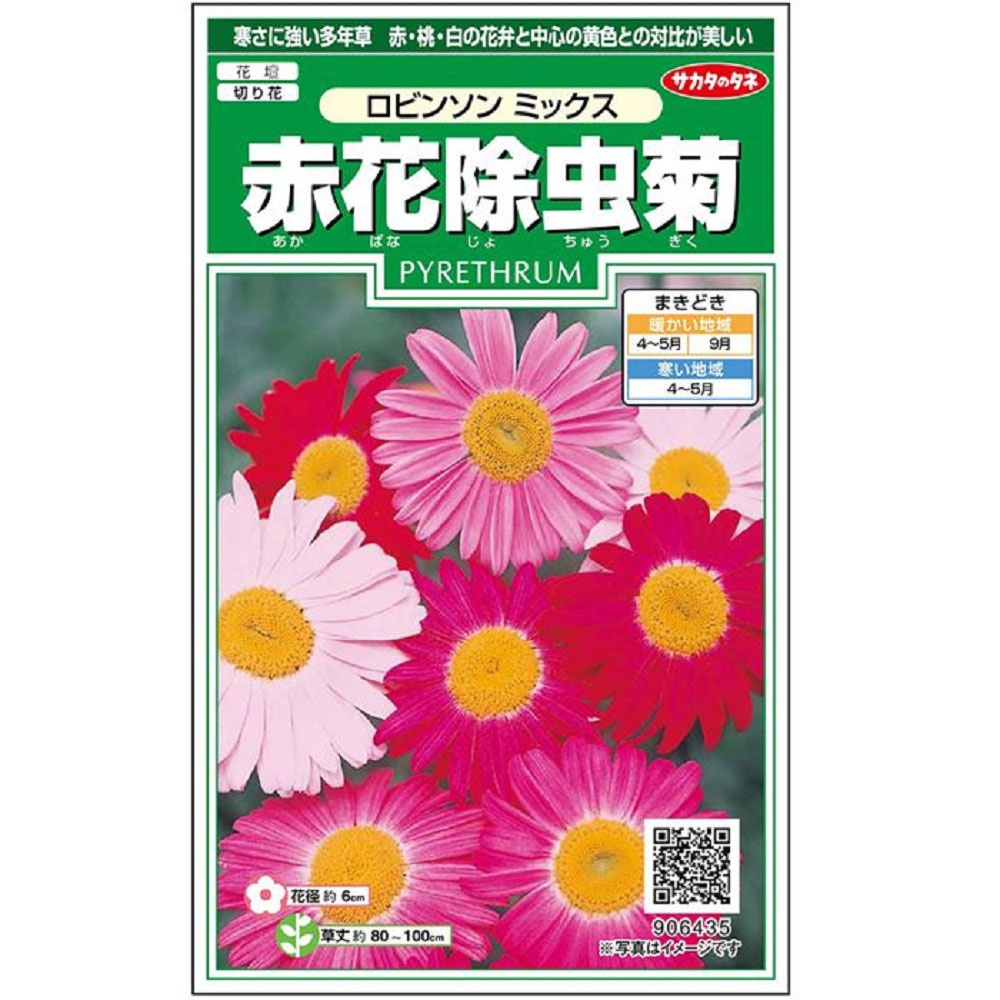 赤花除虫菊_ロビンソンミックス　春秋兼用