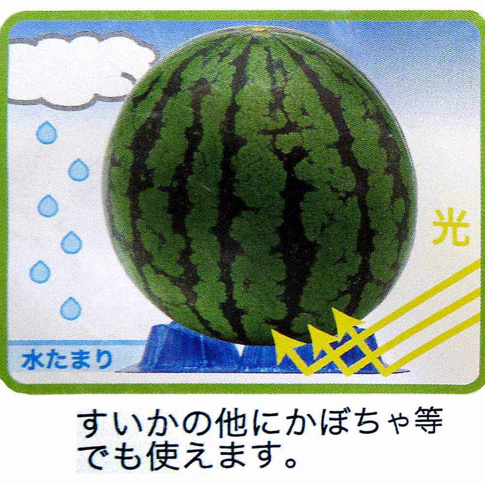 果実マット 緑 10枚入