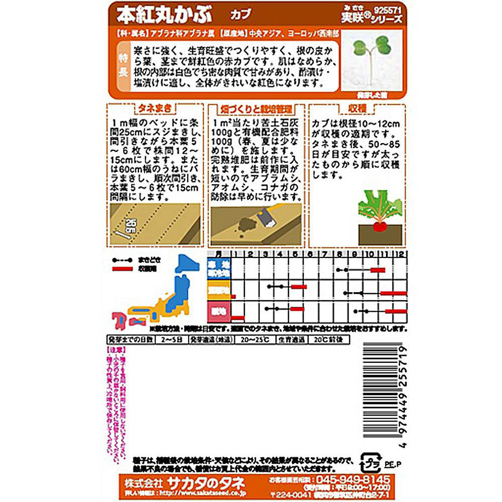 カブ_V150(本紅丸)かぶ　春秋兼用