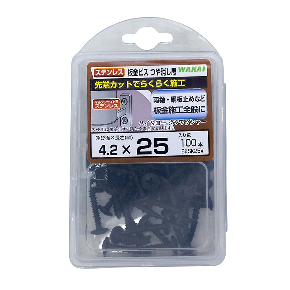 （ＶＰ）ステンレス板金ビス　ツヤケシ黒　２５ｍｍ　１００本