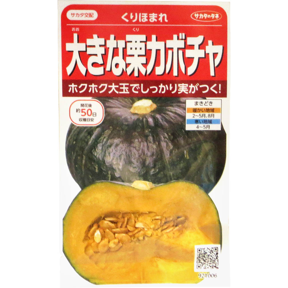 カボチャ_大きな栗カボチャ_くりほまれ　春まき