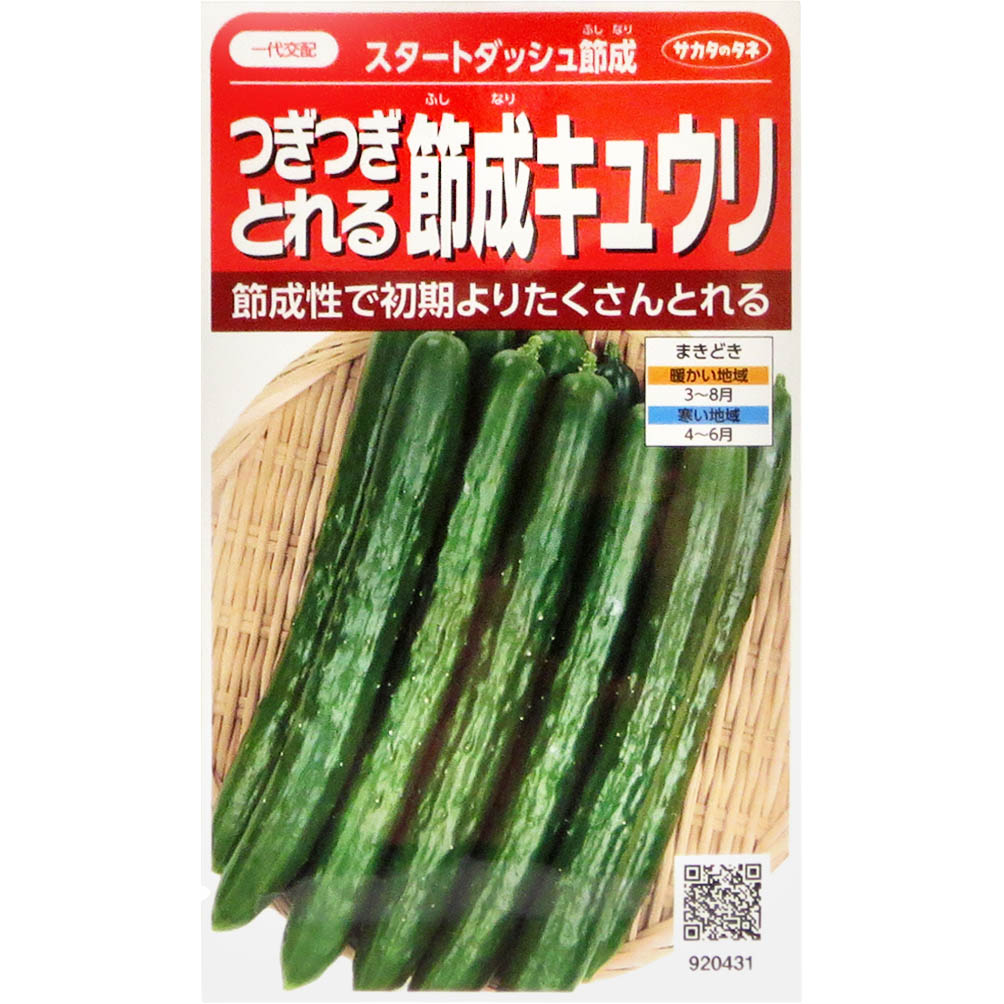 キュウリ_スタートダッシュ　春まき