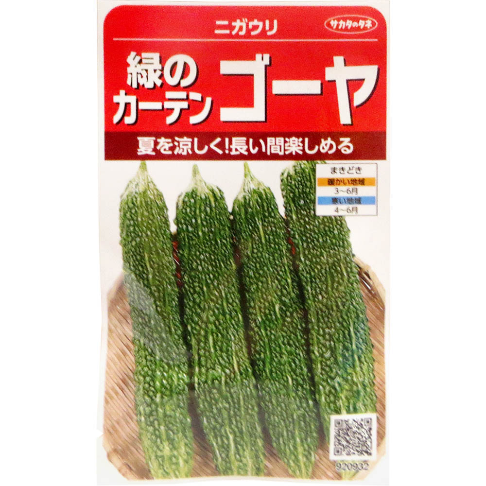 ゴーヤ_緑のカーテンゴーヤ(ニガウリ)　春まき