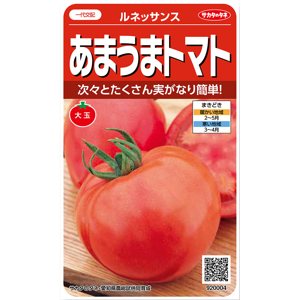 トマト_ルネッサンス_あまうまトマト　春まき