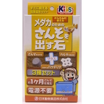 KIDSメダカのためのさんそを出す石