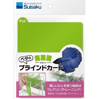 水作　ベタのブラインドカード３枚入り