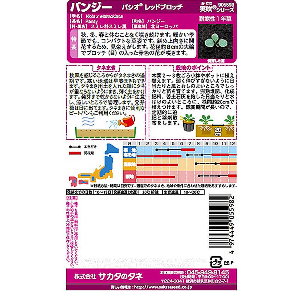 パンジー_パシオ レッドブロッチ　春秋兼用