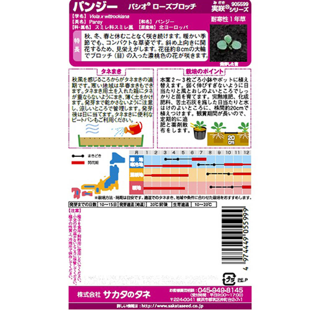 パンジー_パシオ ローズブロッチ　春秋兼用