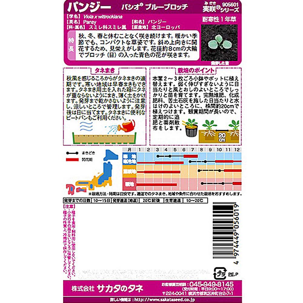 パンジー_パシオ ブルーブロッチ　春秋兼用