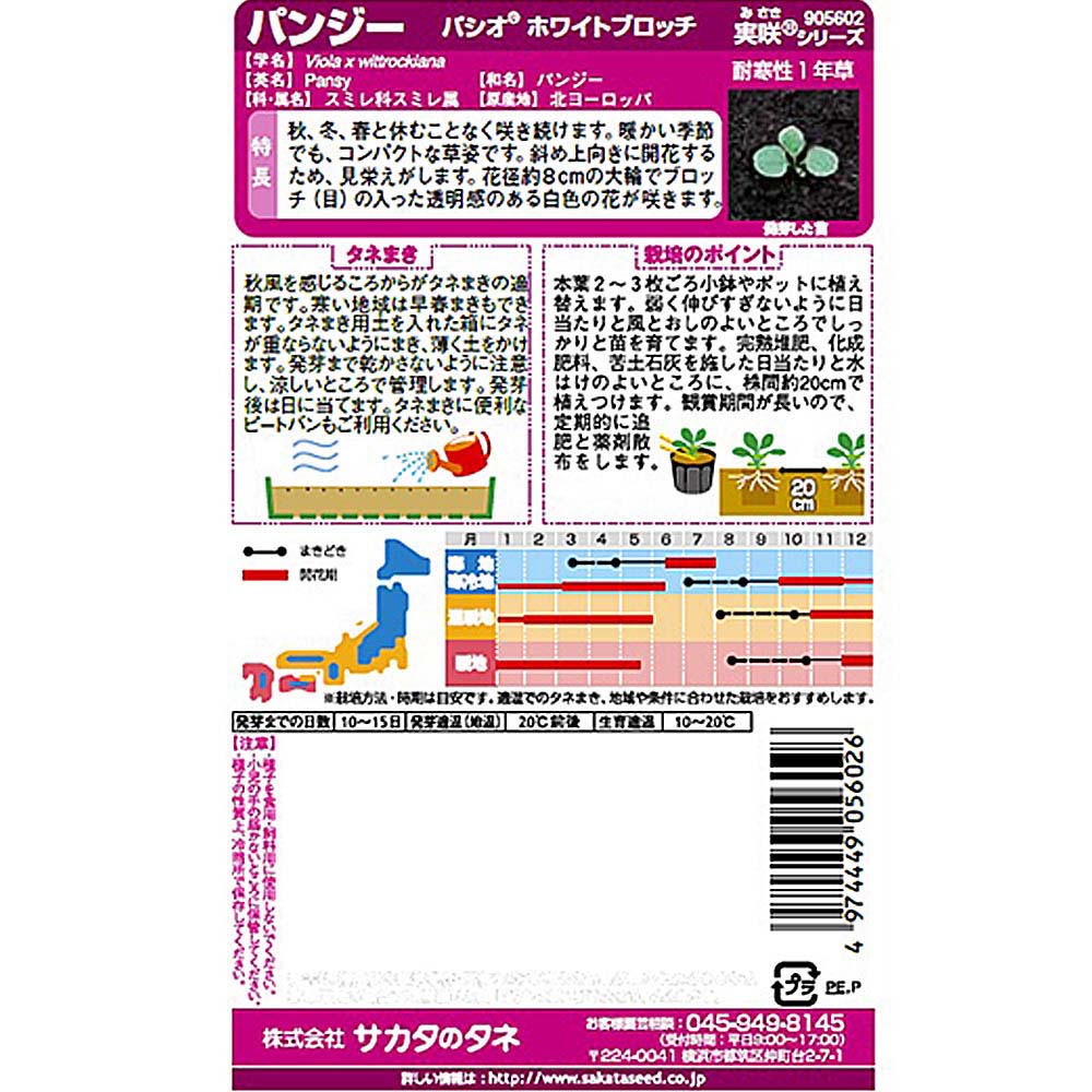 パンジー_パシオ ホワイトブロッチ　春秋兼用
