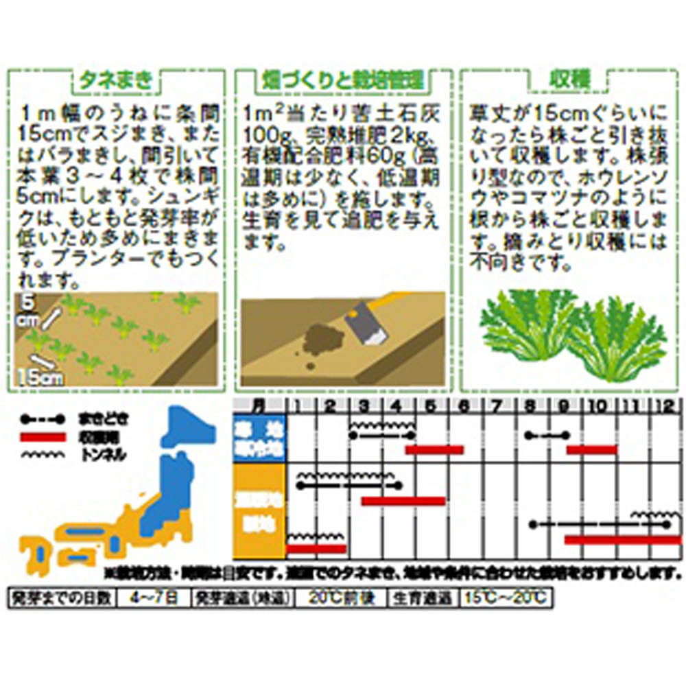 シュンギク_きくまろ　春秋兼用