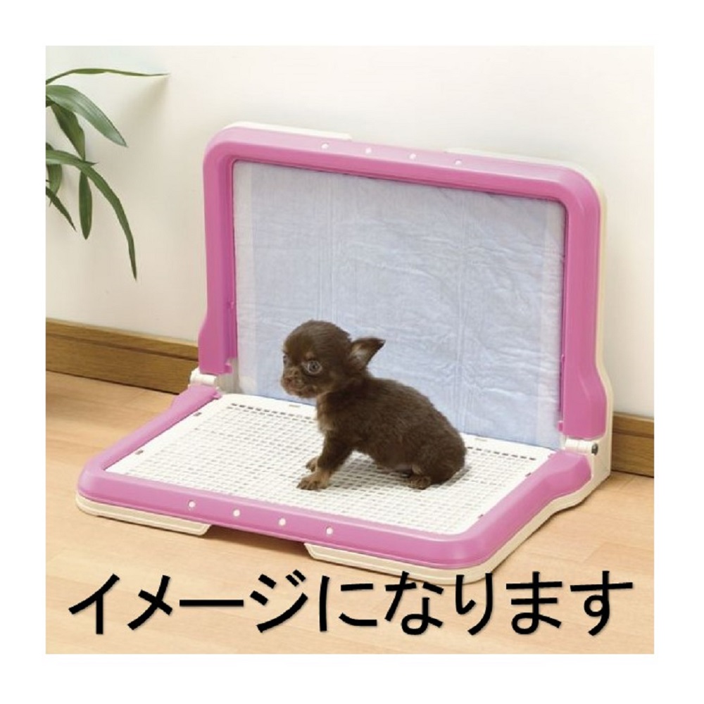 しつけ用ステップL型トレーレギュラーDB