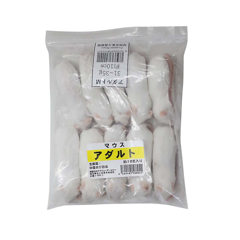 冷凍アダルト１０匹
